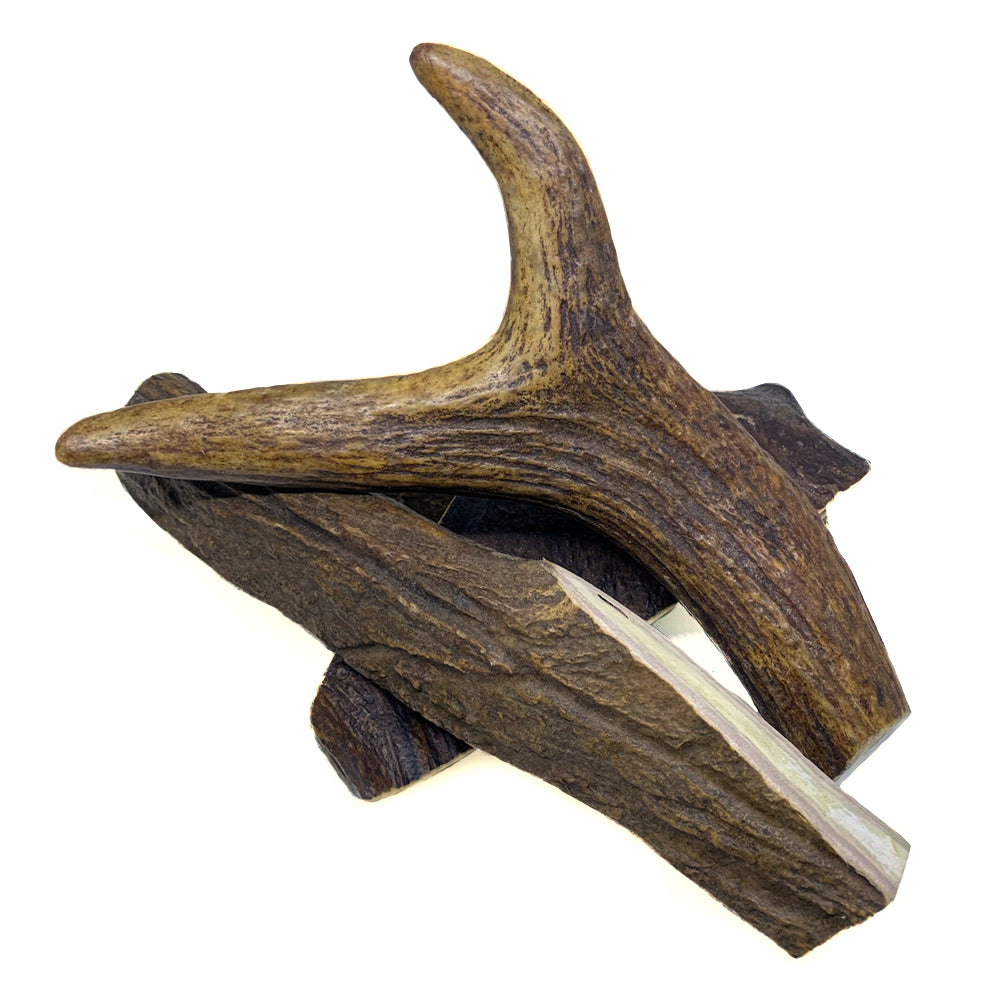 Moose Antler